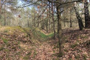 Teufelsgraben im Herbst
